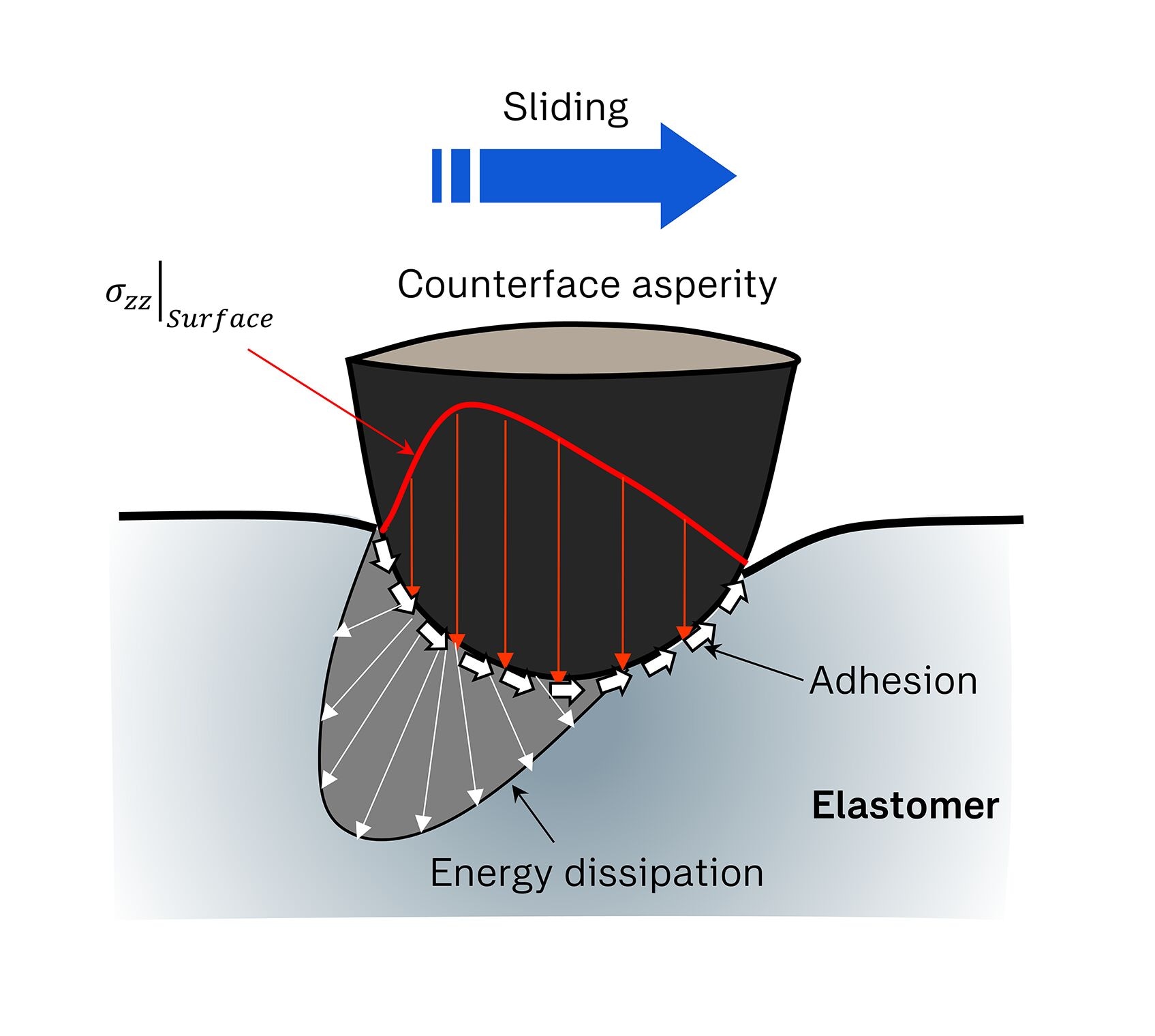 Enabling Low-Friction, Long-Life Seals with Multi-Scale Modelling | SKF